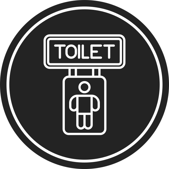 ToiletSense